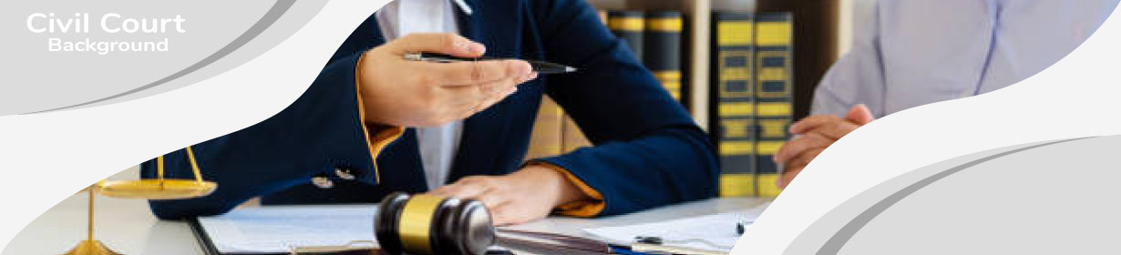 Court And Civil Litigation Check Services