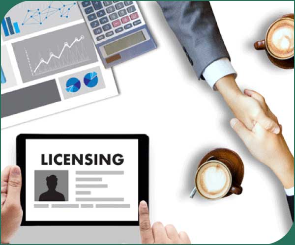 License Background Verification Services