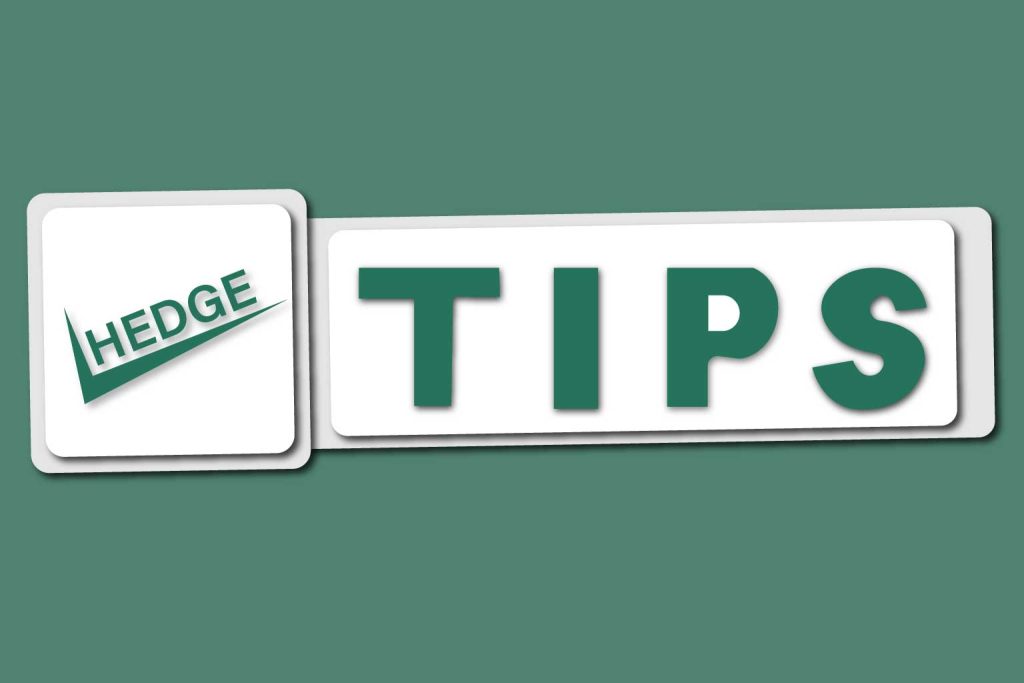 9-Beneficial-Tips-For-Education-Verification